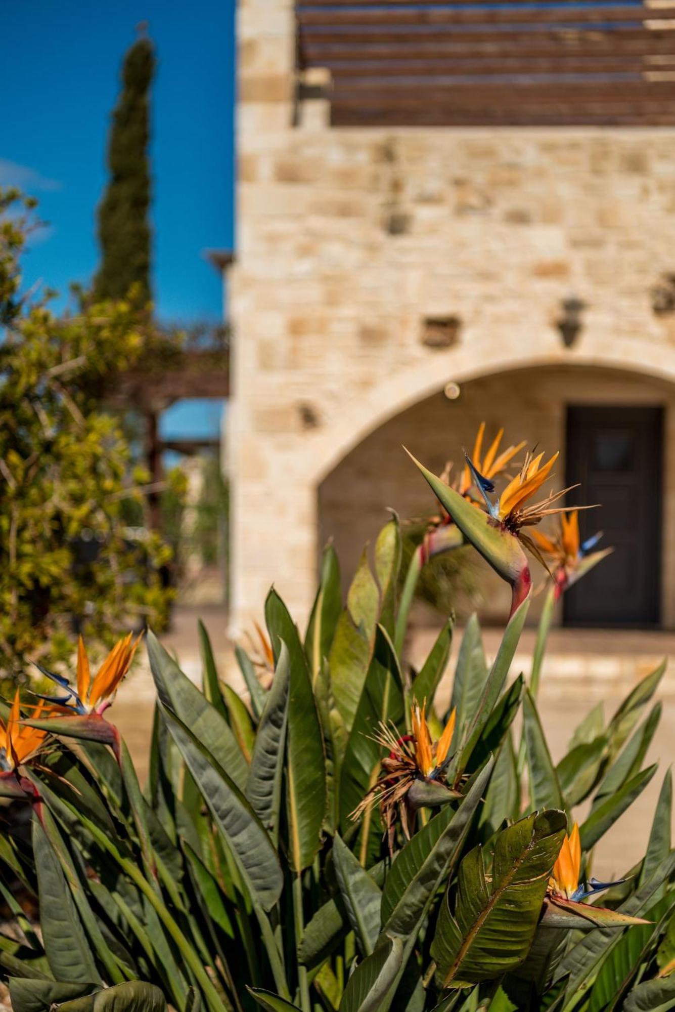Villa Gloria Seaview - Luxury & Family Kokkino Chorio Exterior photo